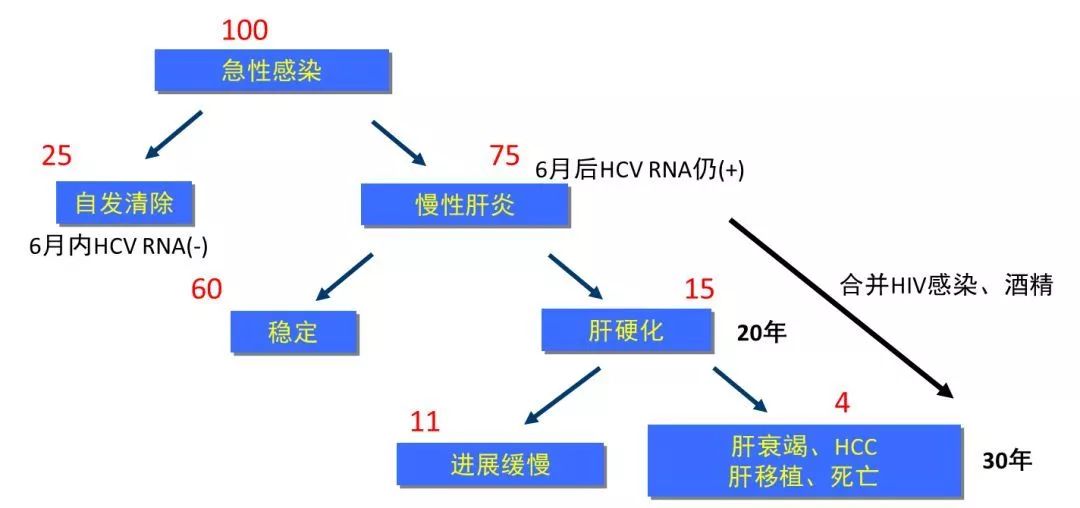 丙肝檢測的弱陽性究竟是不是感染了丙肝？